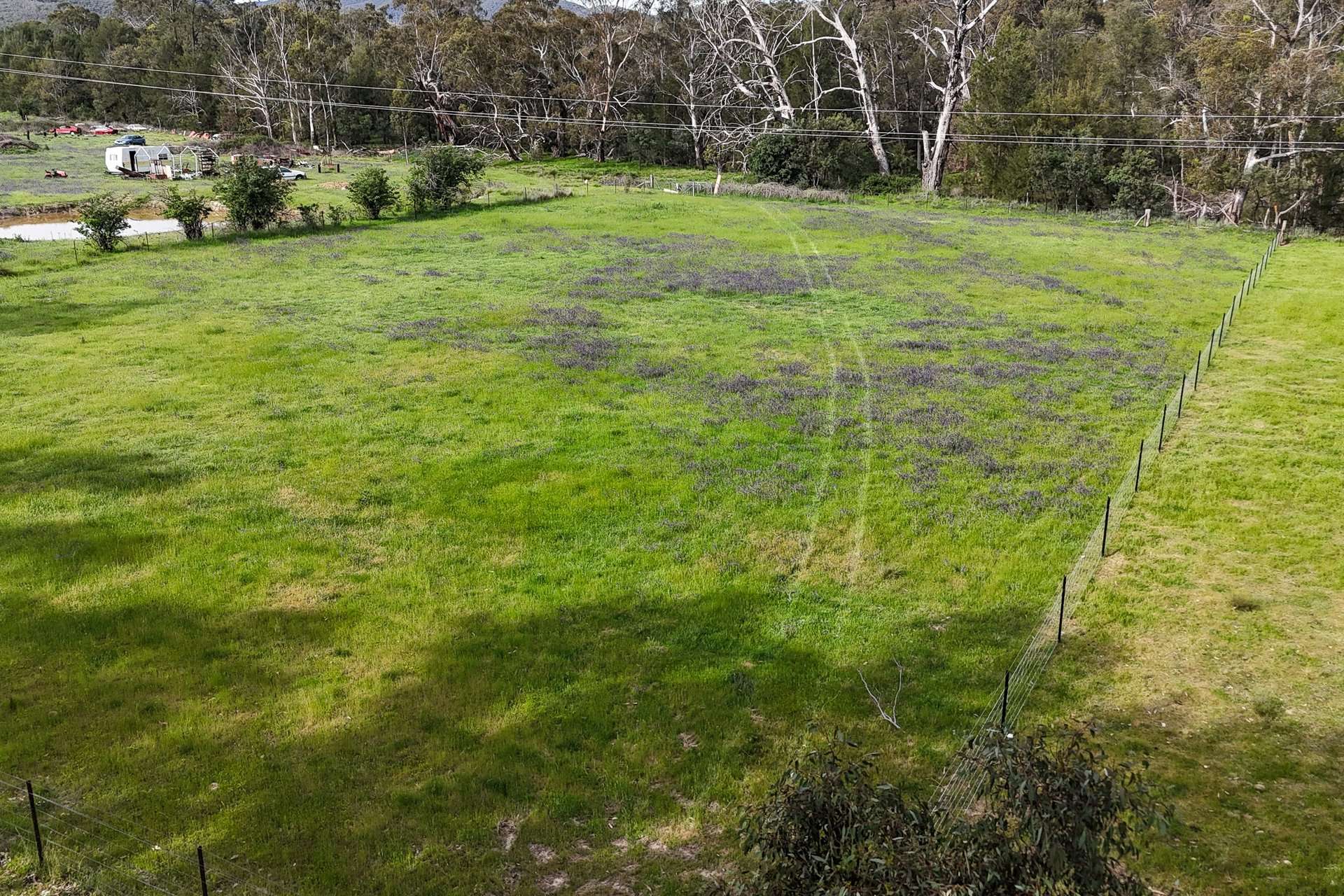 Lot 54, 1747 Windeyer Road, Mudgee For Sale by Farmbuy.com - image 2