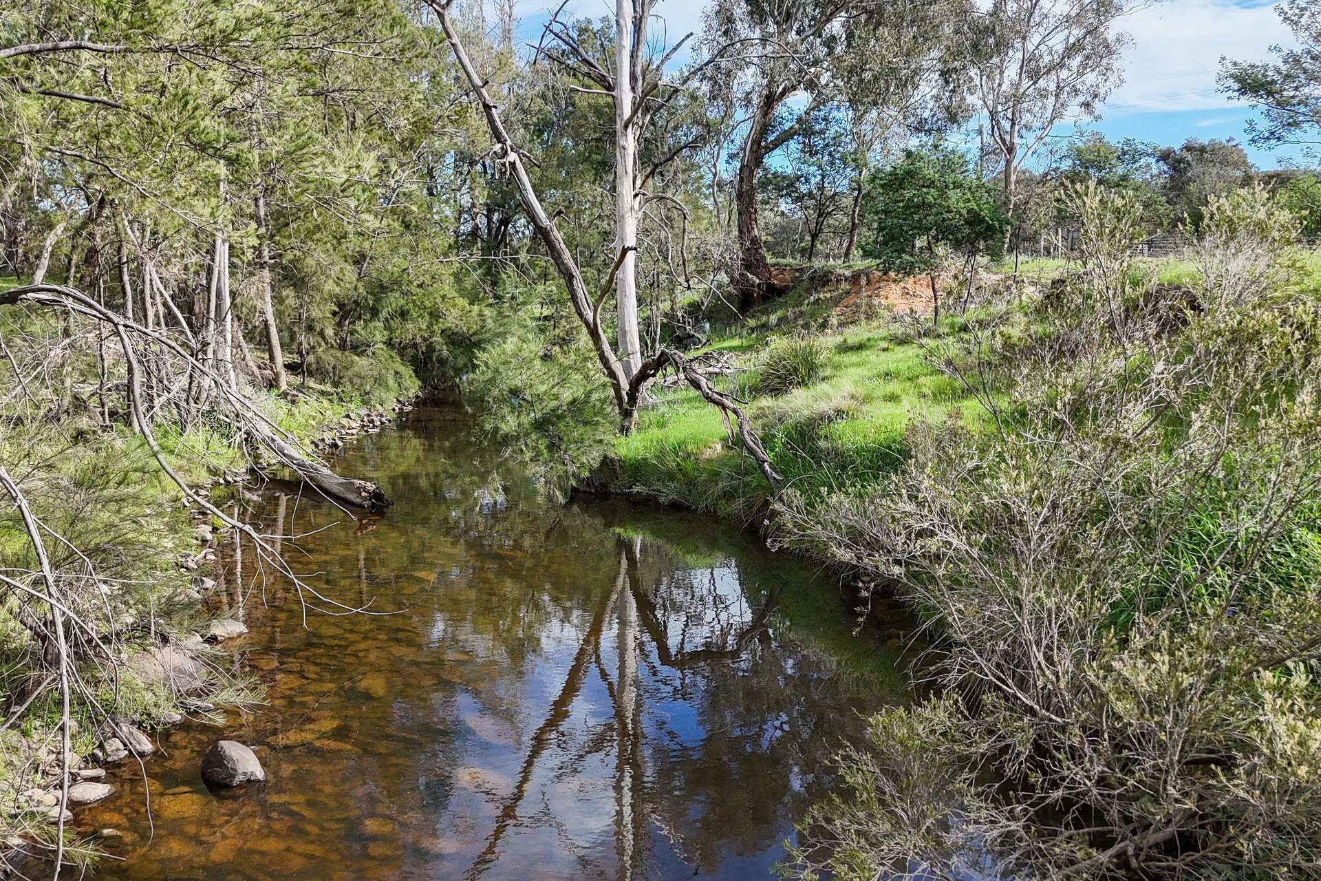 Lot 54, 1747 Windeyer Road, Mudgee For Sale by Farmbuy.com - image 6