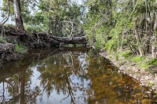 Farm For Sale - NSW - Mudgee - 2850 - A Change of Pace 