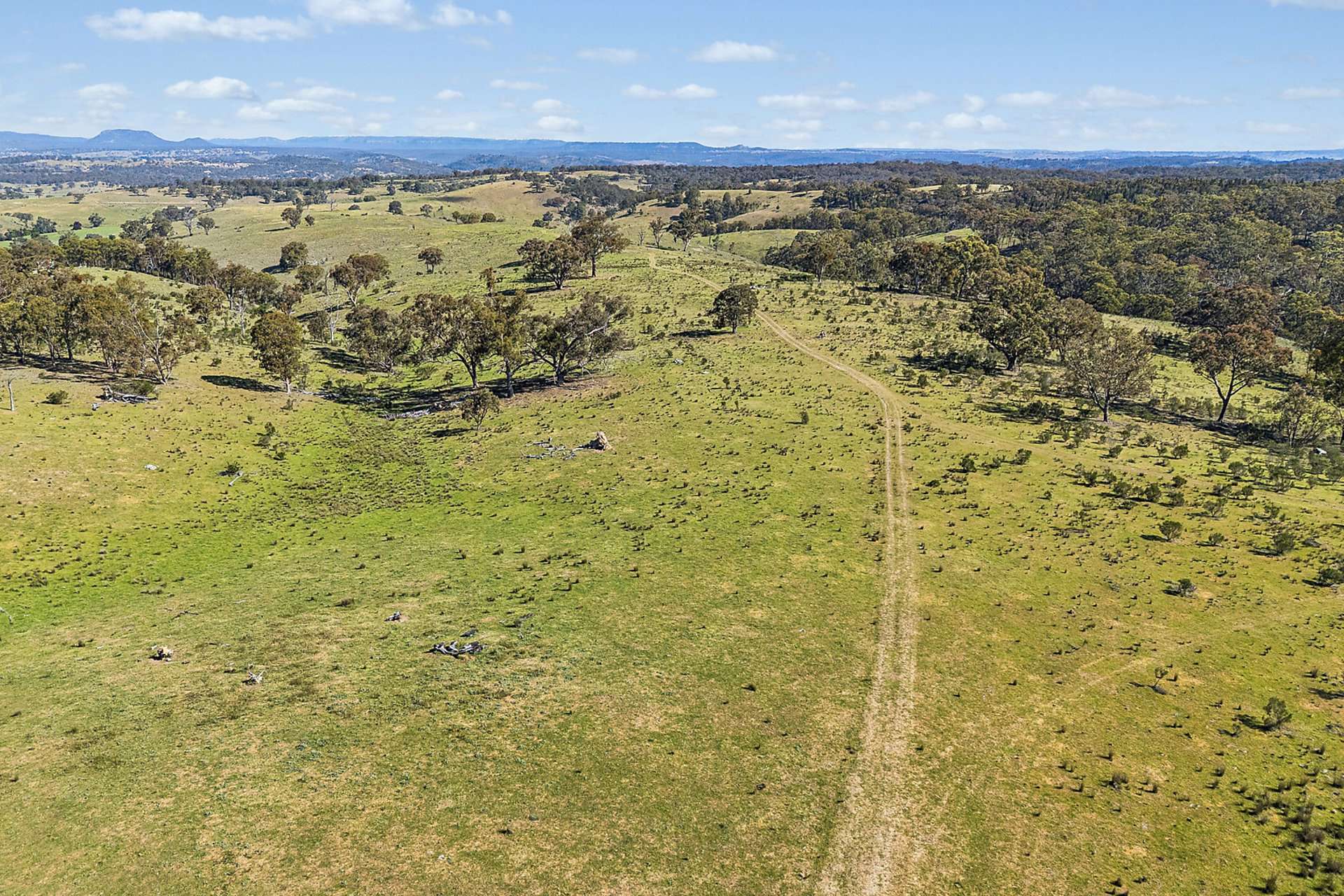 Lot 2, 1005 Tongbong Road, Rylstone For Sale by Farmbuy.com - image 1