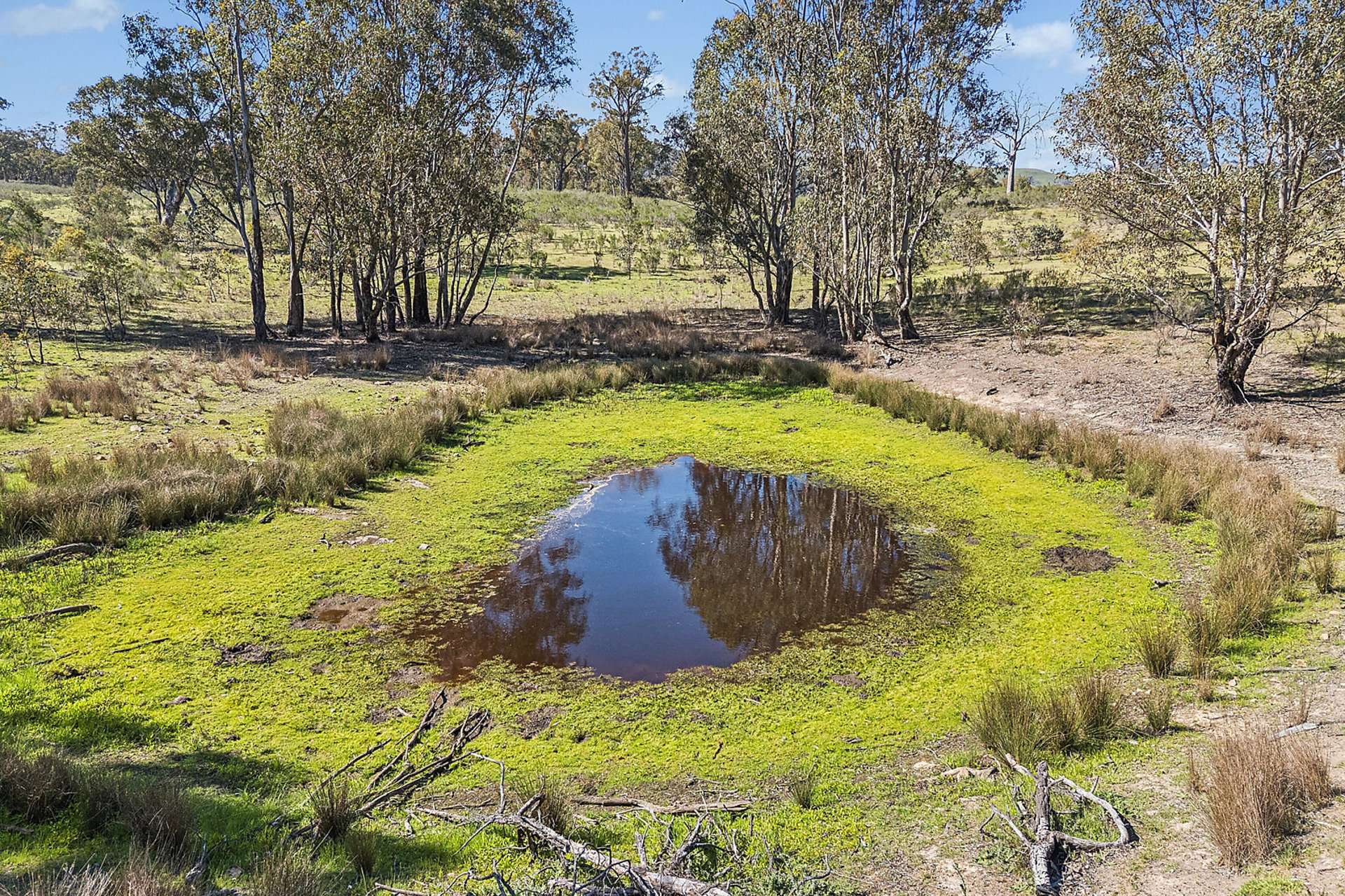 Lot 2, 1005 Tongbong Road, Rylstone For Sale by Farmbuy.com - image 16