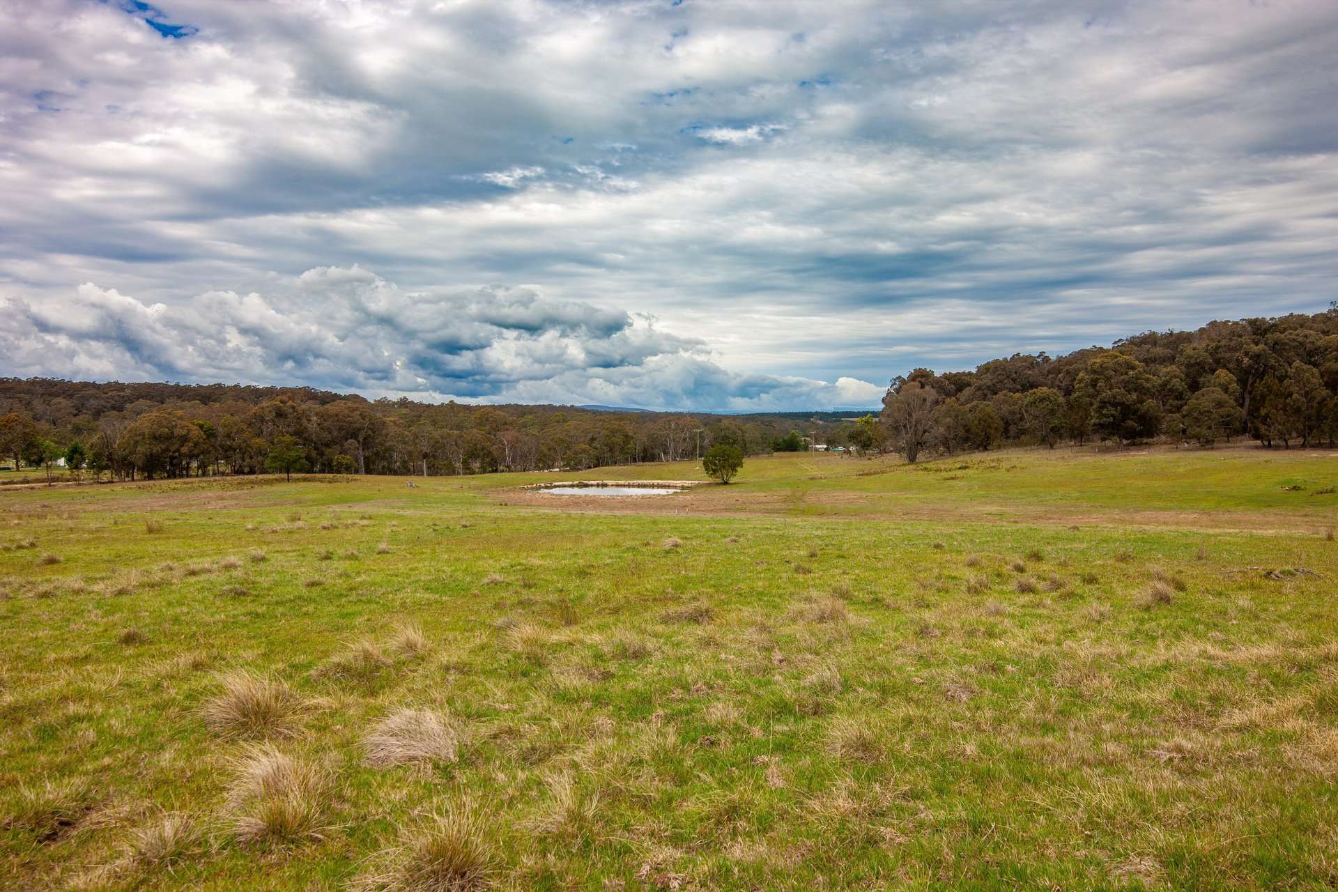 Dewsbury Lane, Goulburn Auction by Farmbuy.com - image 14