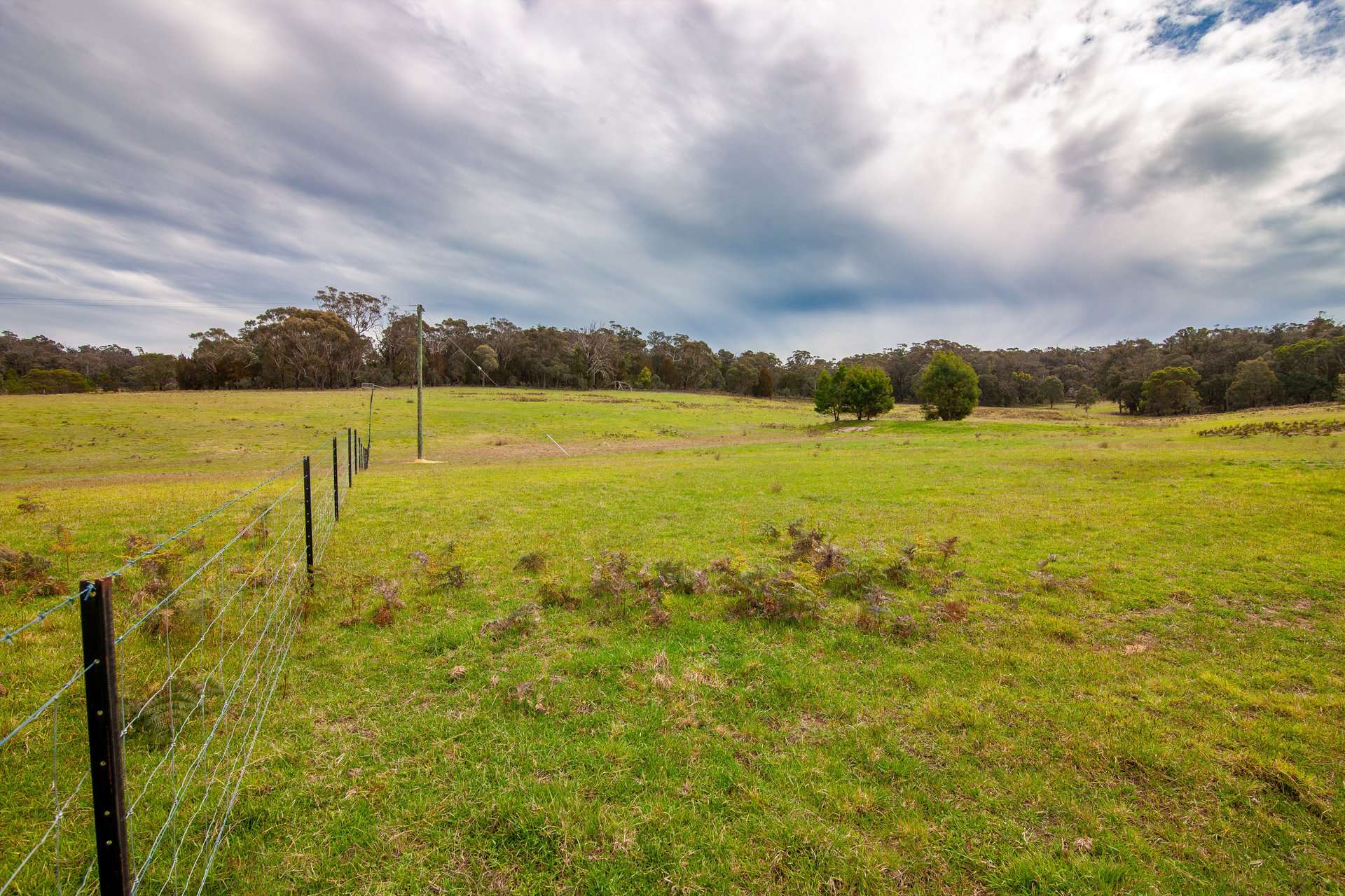 Dewsbury Lane, Goulburn Auction by Farmbuy.com - image 7