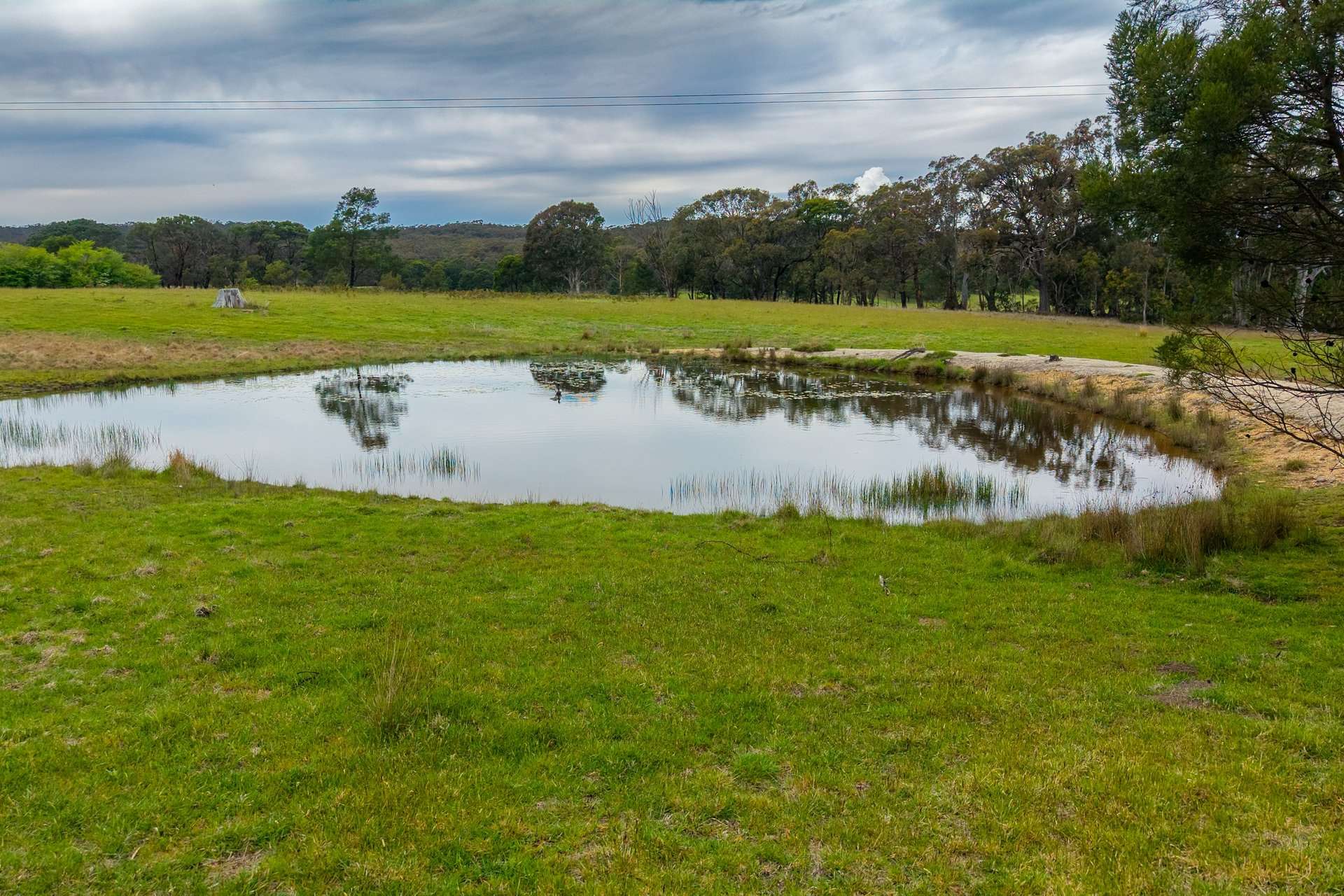 Dewsbury Lane, Goulburn Auction by Farmbuy.com - image 11