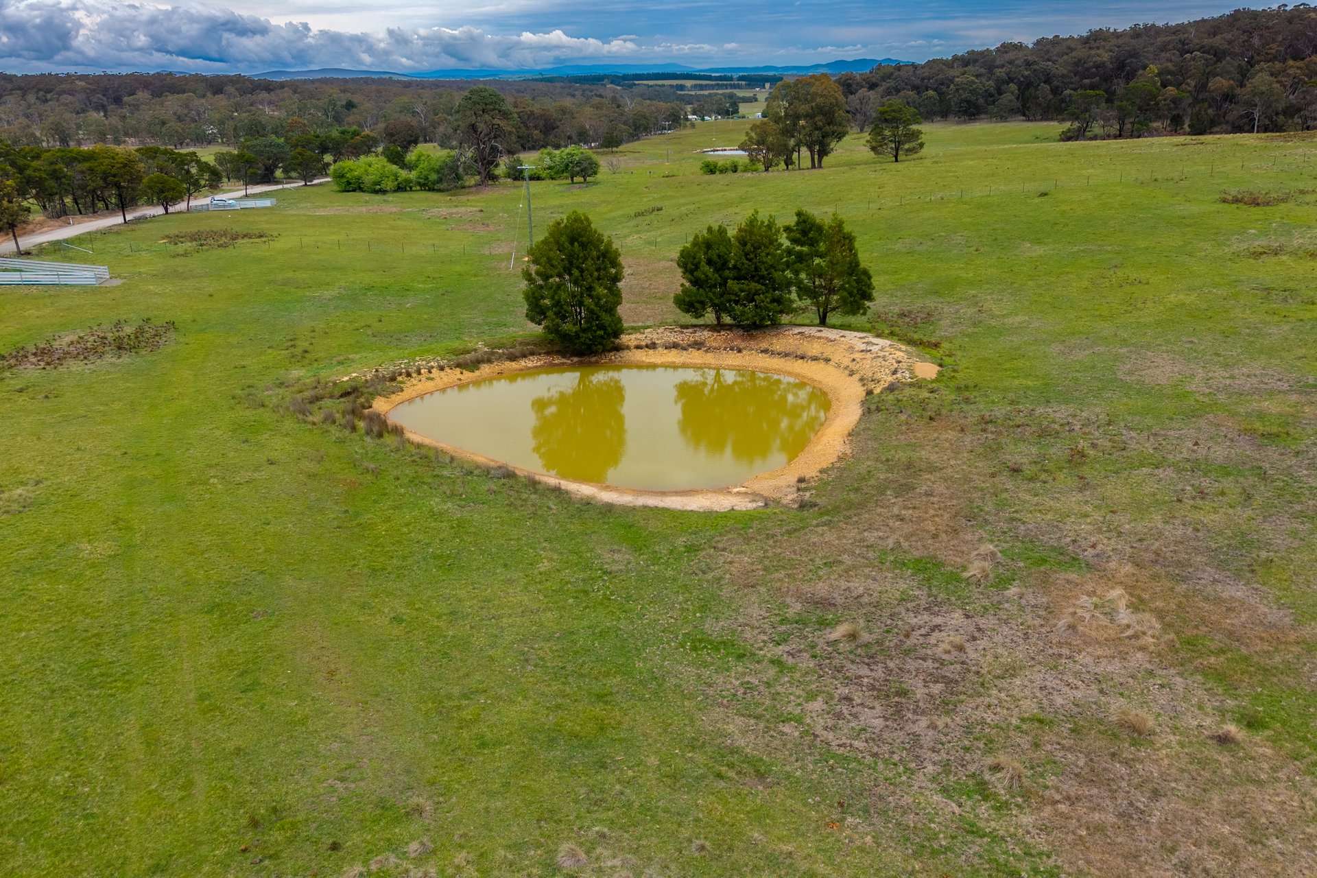 Dewsbury Lane, Goulburn Auction by Farmbuy.com - image 5