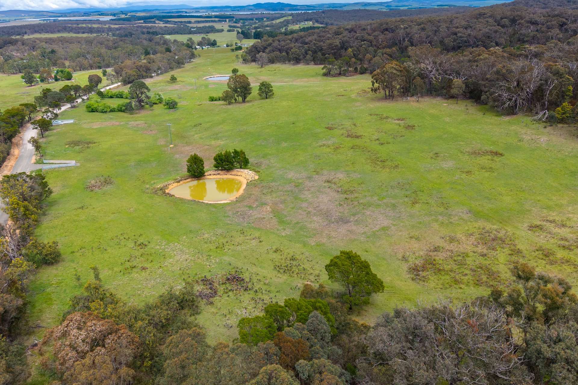 Dewsbury Lane, Goulburn Auction by Farmbuy.com - image 1