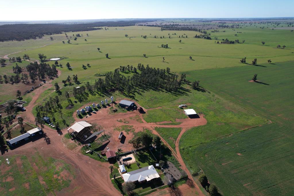 3896 Albert Road, Condobolin NSW 2877