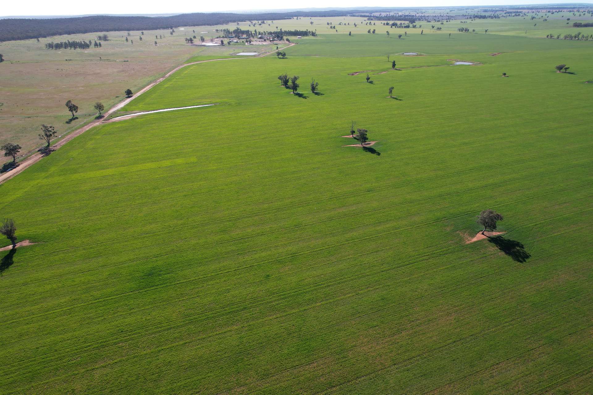 3896 Albert Road, Condobolin For Sale by Farmbuy.com - image 5