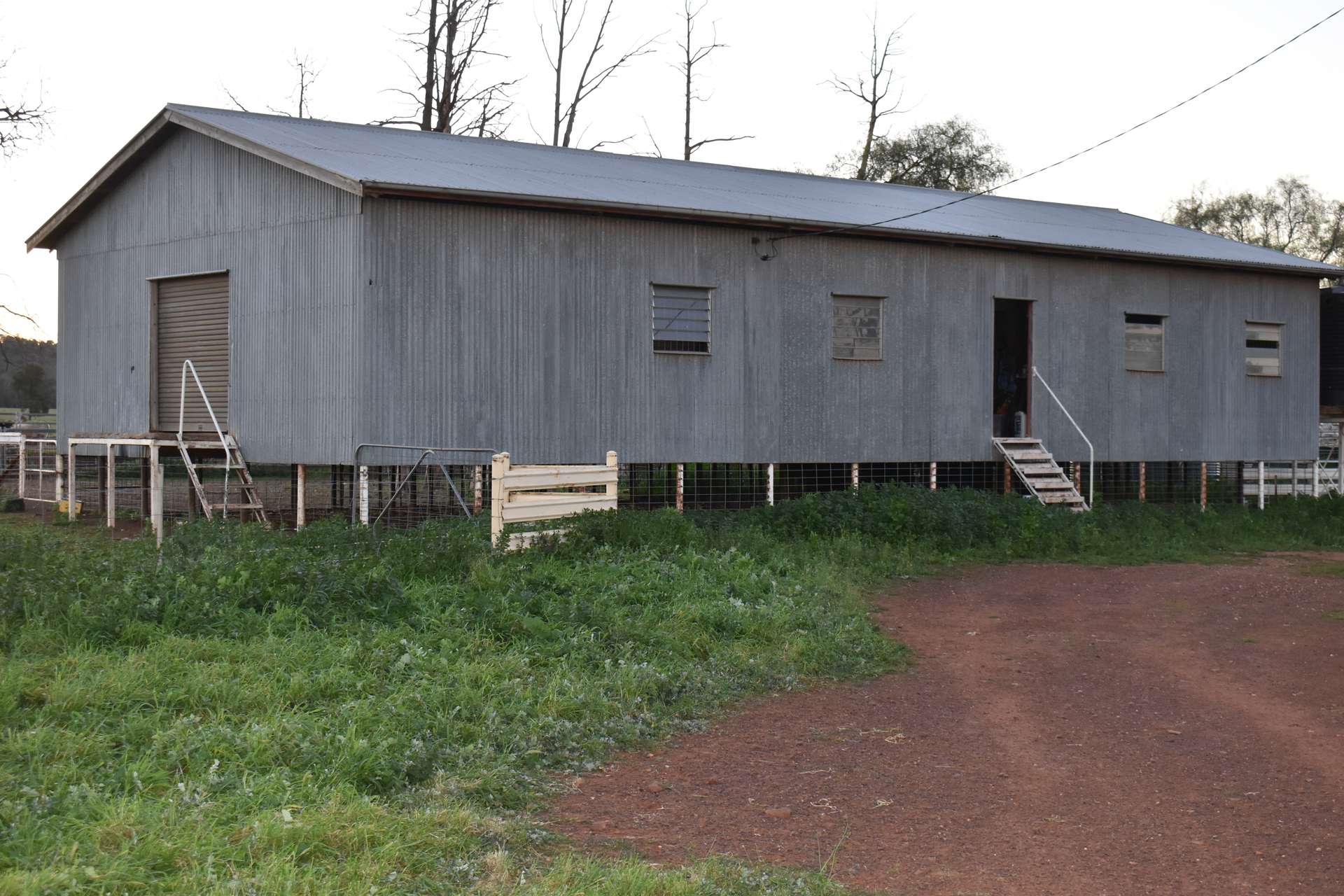 3896 Albert Road, Condobolin For Sale by Farmbuy.com - image 15