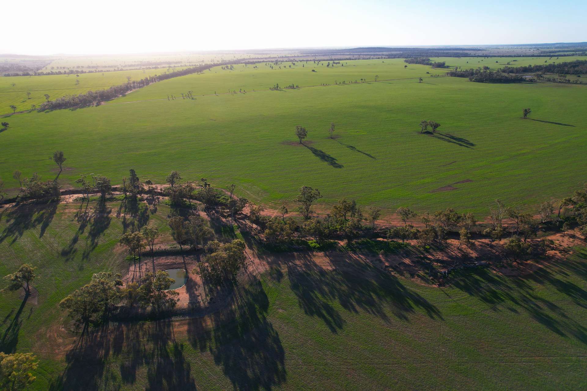 3896 Albert Road, Condobolin For Sale by Farmbuy.com - image 18