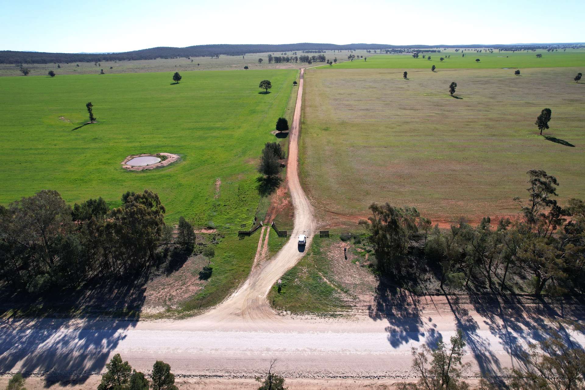 3896 Albert Road, Condobolin For Sale by Farmbuy.com - image 7