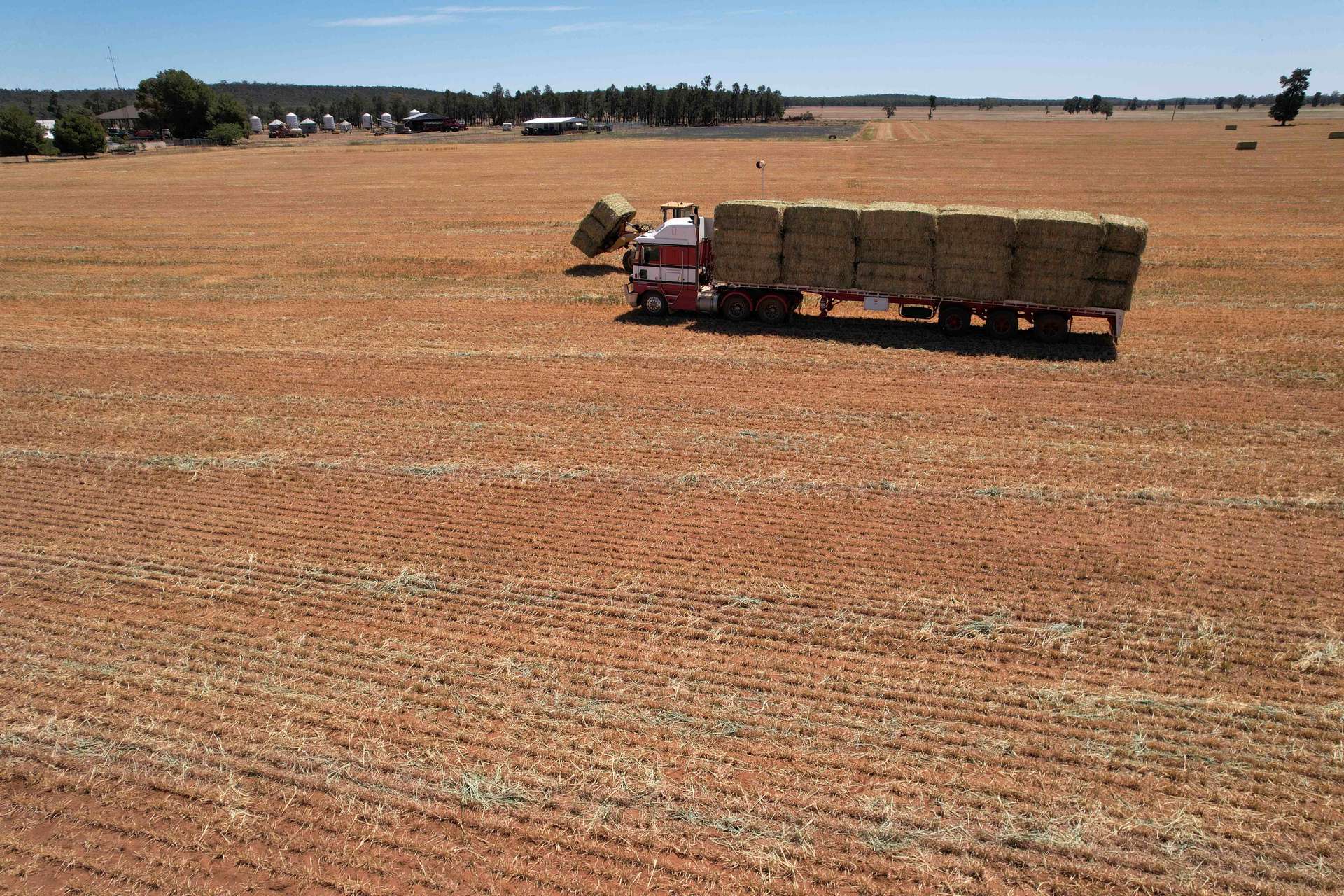 3896 Albert Road, Condobolin For Sale by Farmbuy.com - image 26
