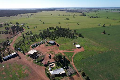 Farm For Sale - NSW - Condobolin - 2877 - Big Country. Big Opportunity.
Area: 3,314 Ha | 8,189 Ac 