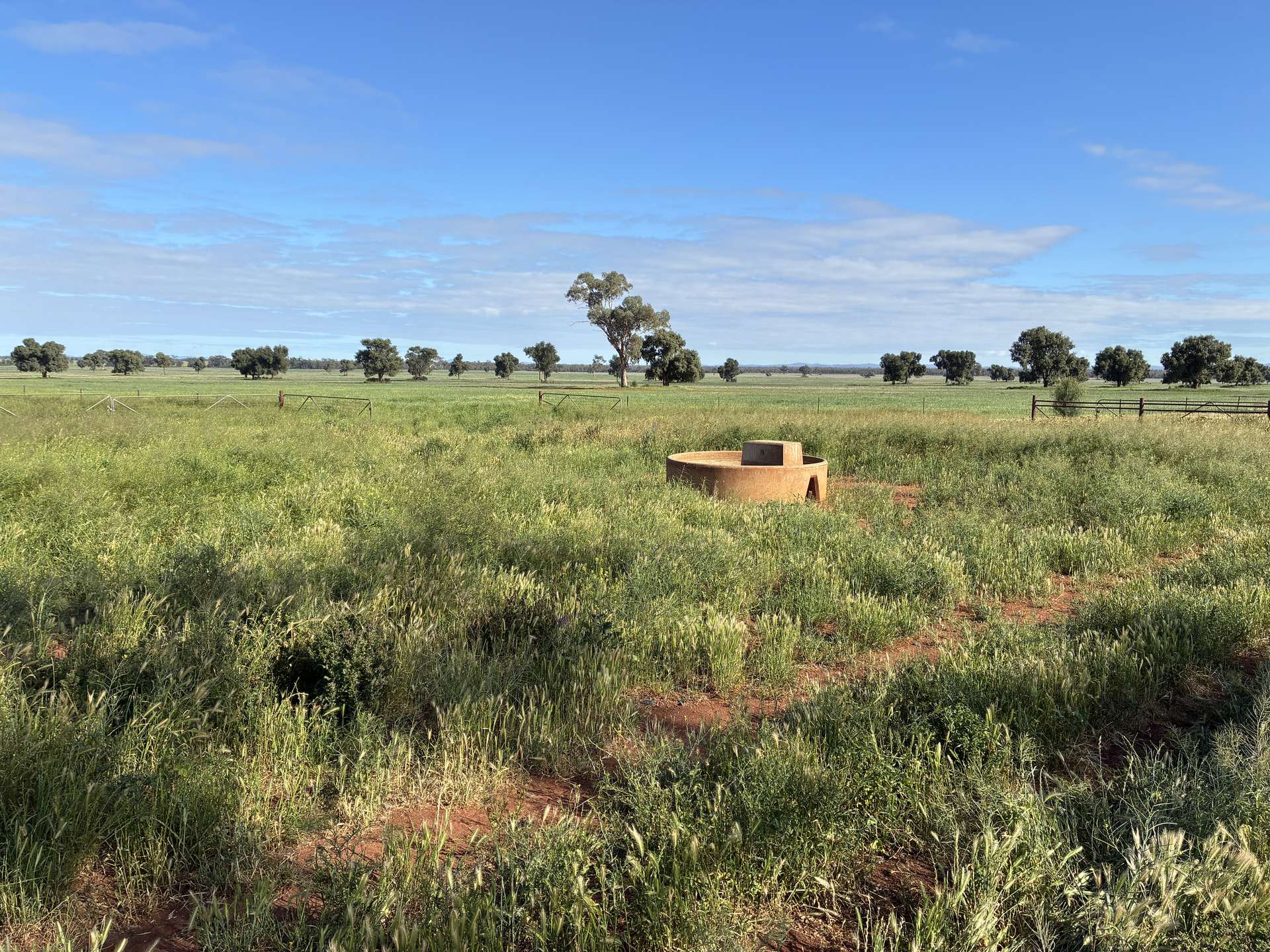 2388 Booberoi Road, Condobolin For Sale by Farmbuy.com - image 22