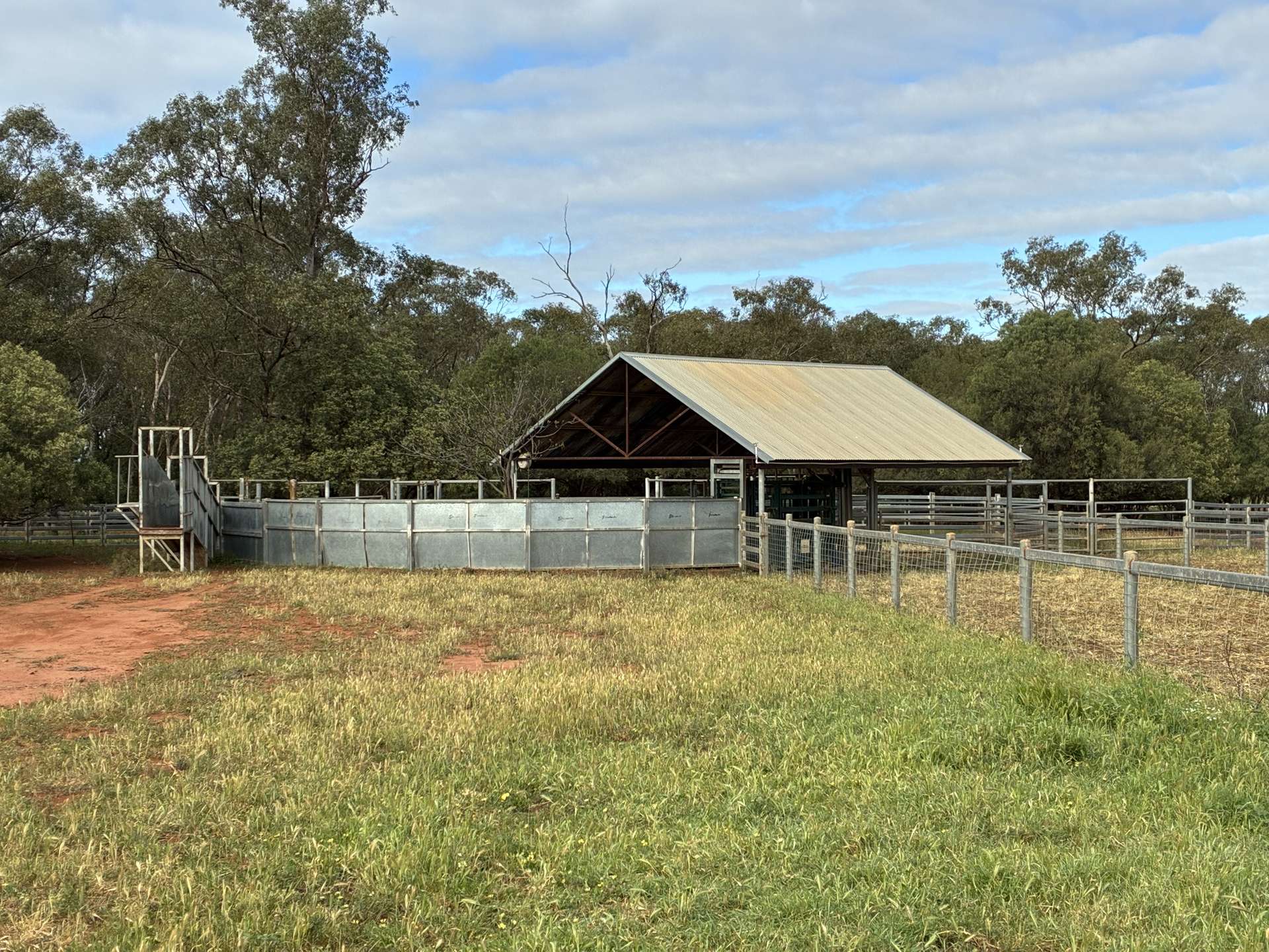 2388 Booberoi Road, Condobolin For Sale by Farmbuy.com - image 12