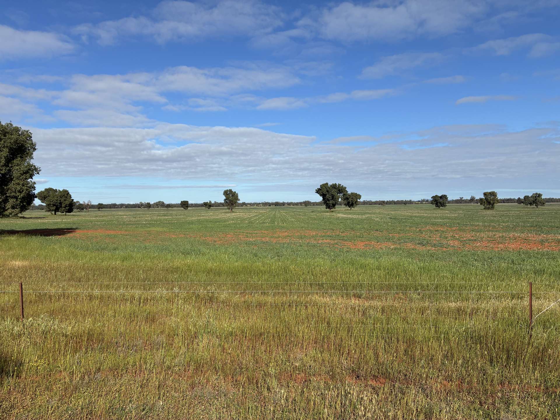 2388 Booberoi Road, Condobolin For Sale by Farmbuy.com - image 21