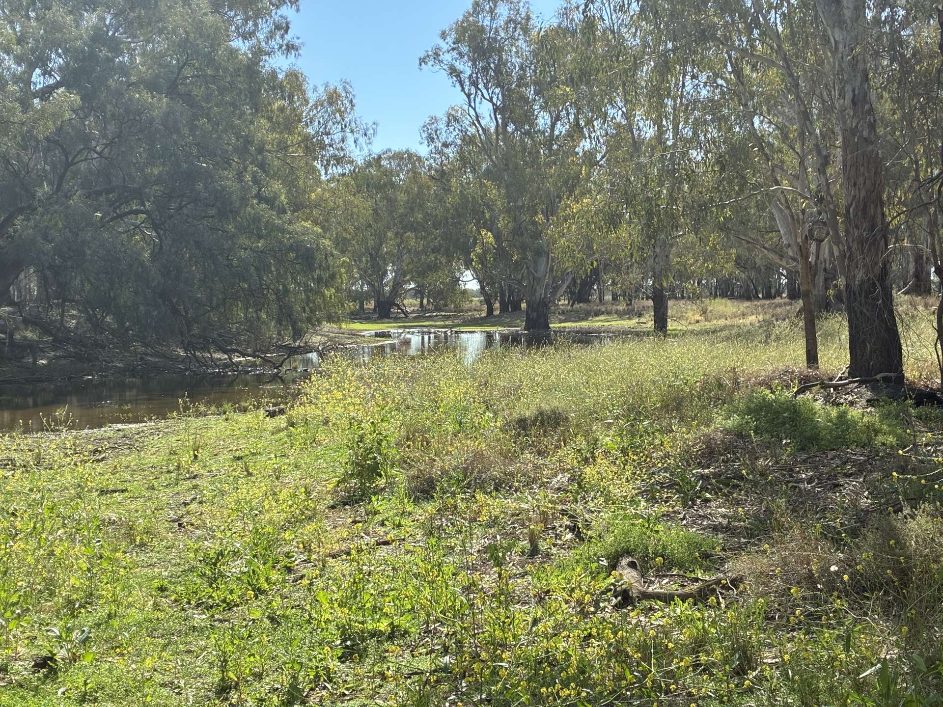2388 Booberoi Road, Condobolin For Sale by Farmbuy.com - image 25