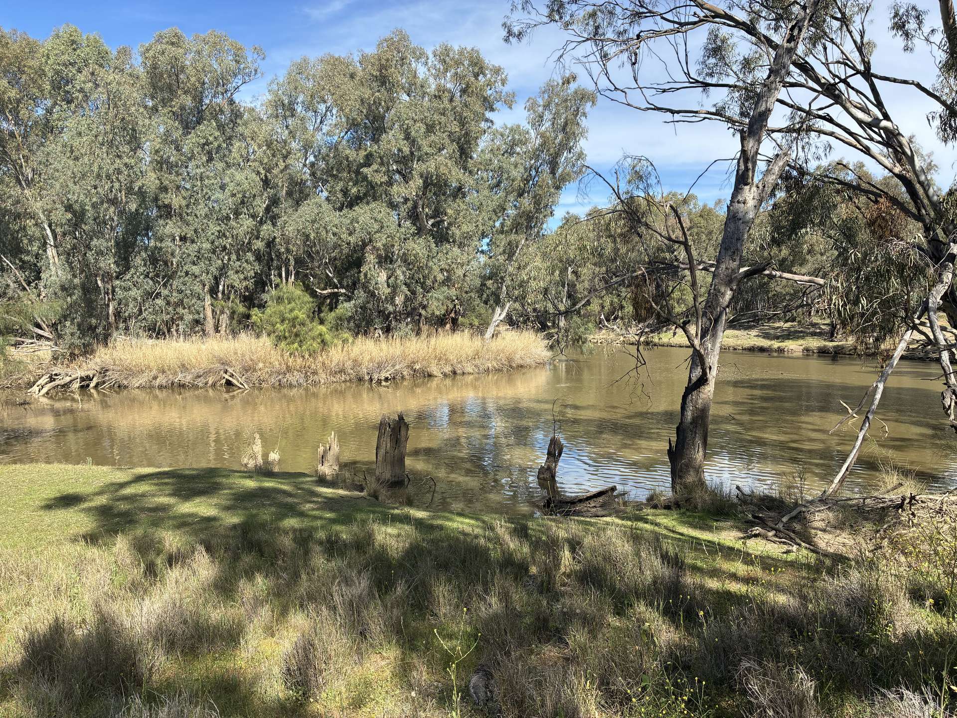 2388 Booberoi Road, Condobolin For Sale by Farmbuy.com - image 24
