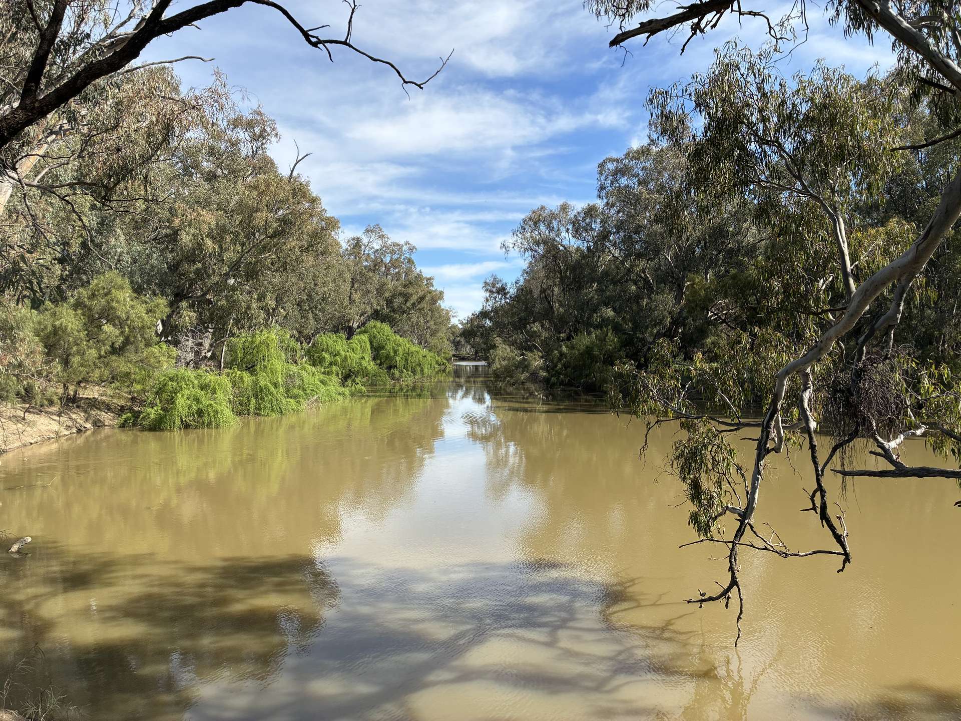 2388 Booberoi Road, Condobolin For Sale by Farmbuy.com - image 15