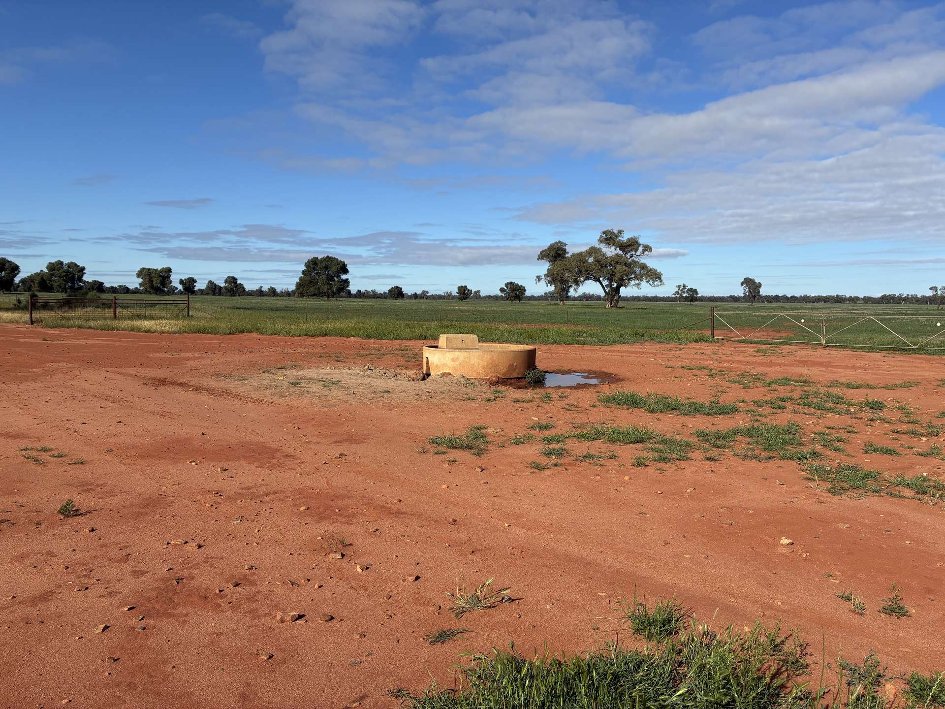 2388 Booberoi Road, Condobolin For Sale by Farmbuy.com - image 29