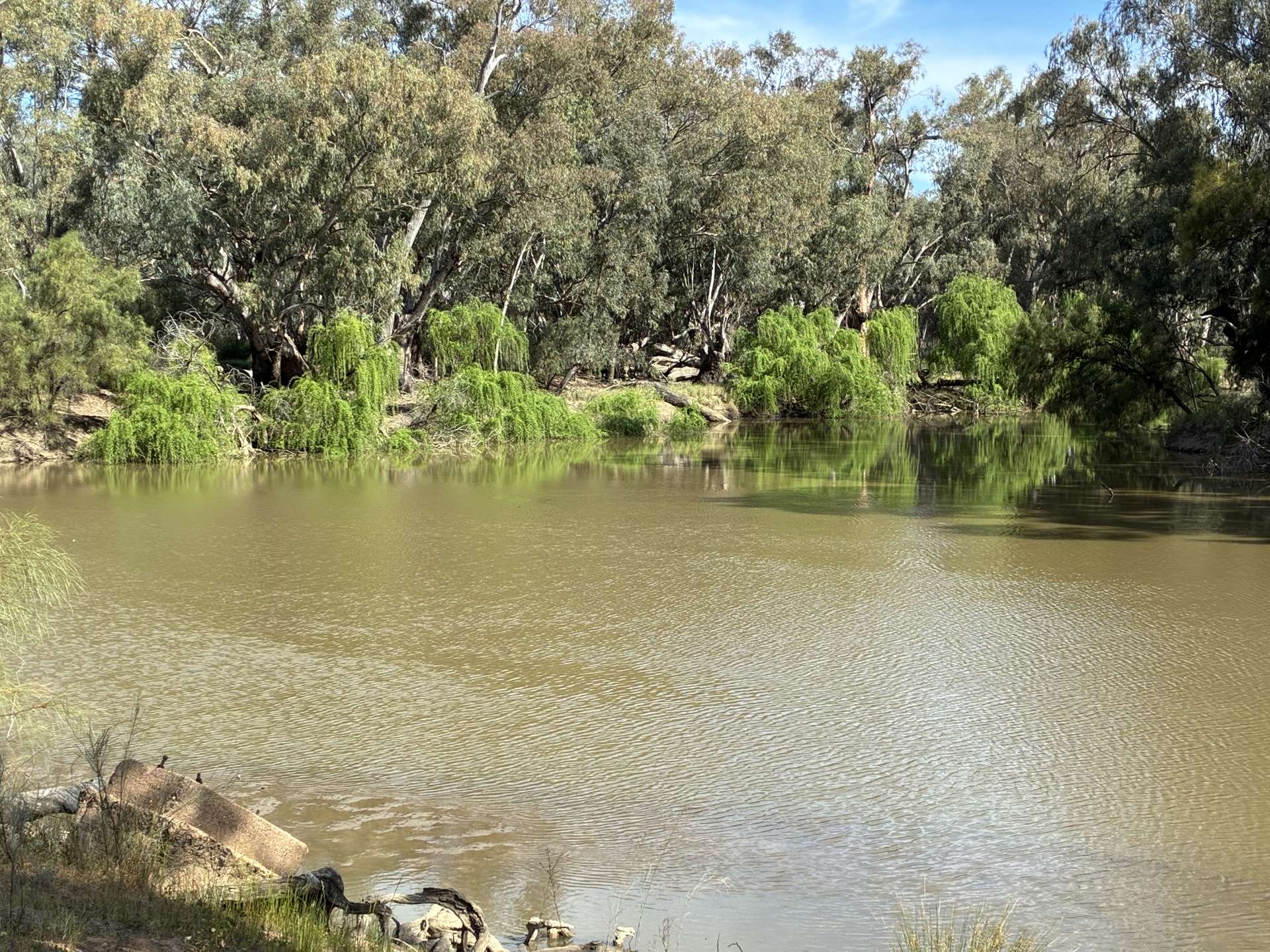 2388 Booberoi Road, Condobolin For Sale by Farmbuy.com - image 3