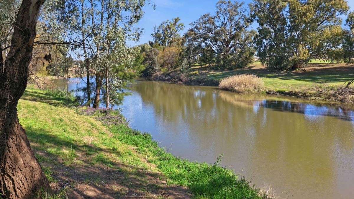 8 O'Connors Lane, Narrabri Auction by Farmbuy.com - image 22
