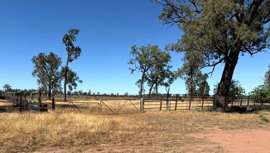1056 Kickabil Road, Balladoran For Sale by Farmbuy.com - image 1