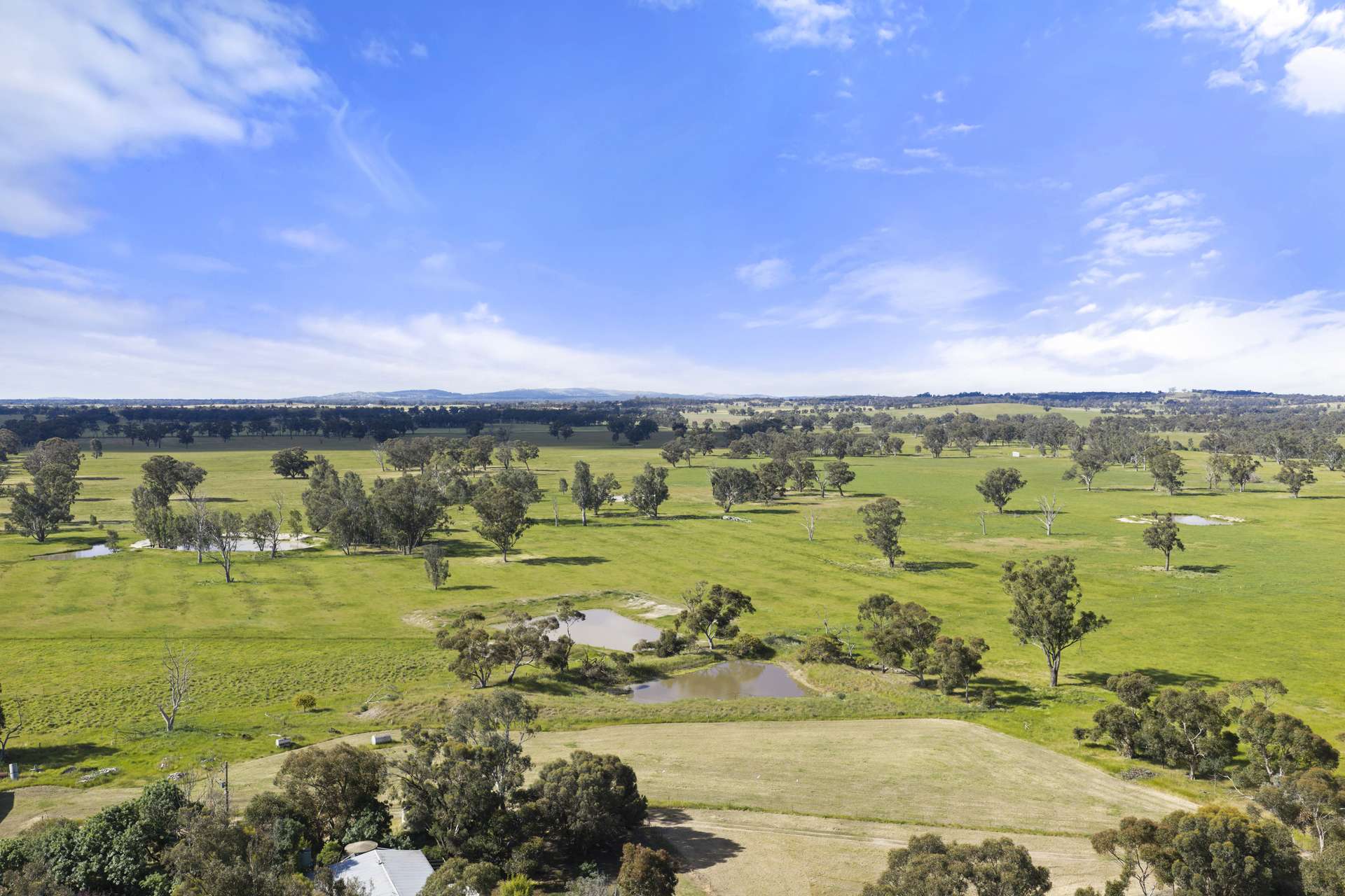 155 Shire Dam Road, Violet Town For Sale by Farmbuy.com - image 7