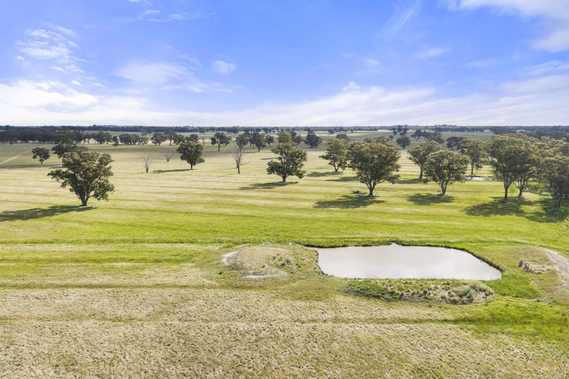 155 Shire Dam Road, Violet Town For Sale by Farmbuy.com - image 2