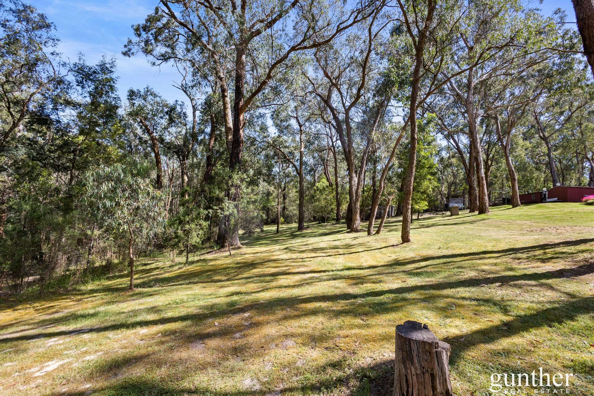 132 Hodges Road, Chum Creek For Sale by Farmbuy.com - image 24