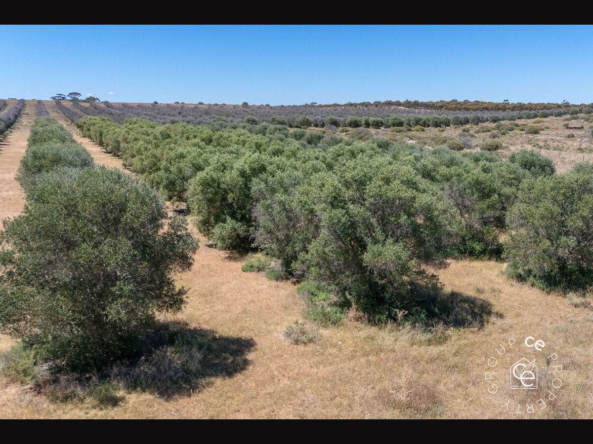 1813 Black Hill Road, Black Hill For Sale by Farmbuy.com - image 34