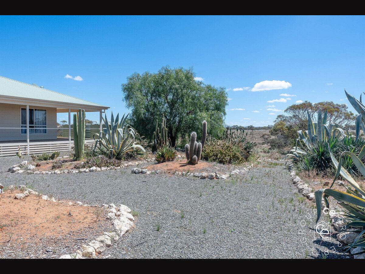 1813 Black Hill Road, Black Hill For Sale by Farmbuy.com - image 26