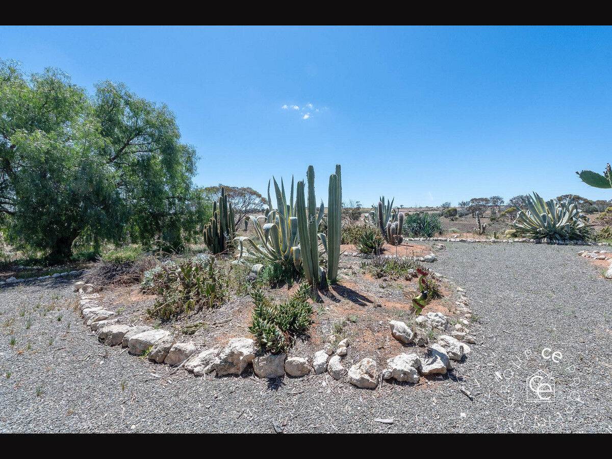 1813 Black Hill Road, Black Hill For Sale by Farmbuy.com - image 22