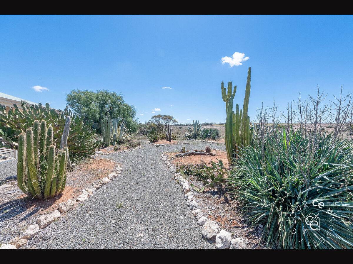 1813 Black Hill Road, Black Hill For Sale by Farmbuy.com - image 27