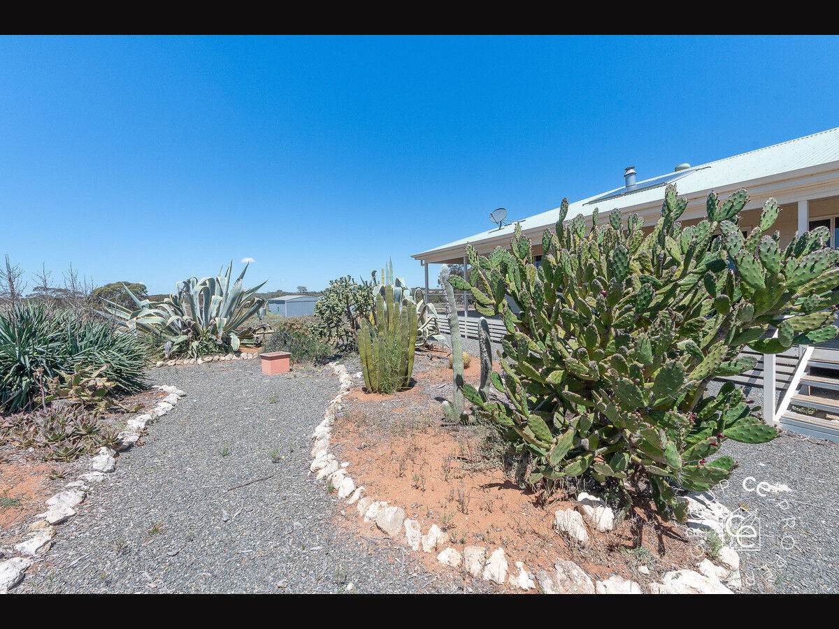 1813 Black Hill Road, Black Hill For Sale by Farmbuy.com - image 23