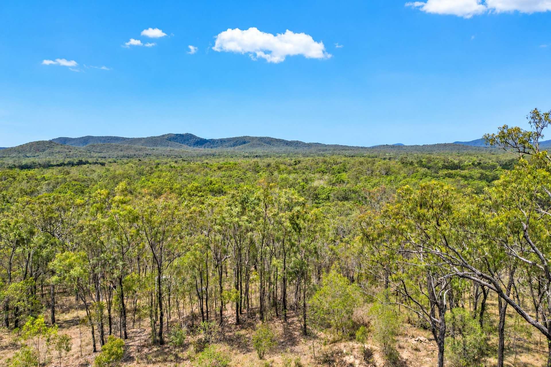 287 Davies Road, Captain Creek For Sale by Farmbuy.com - image 6
