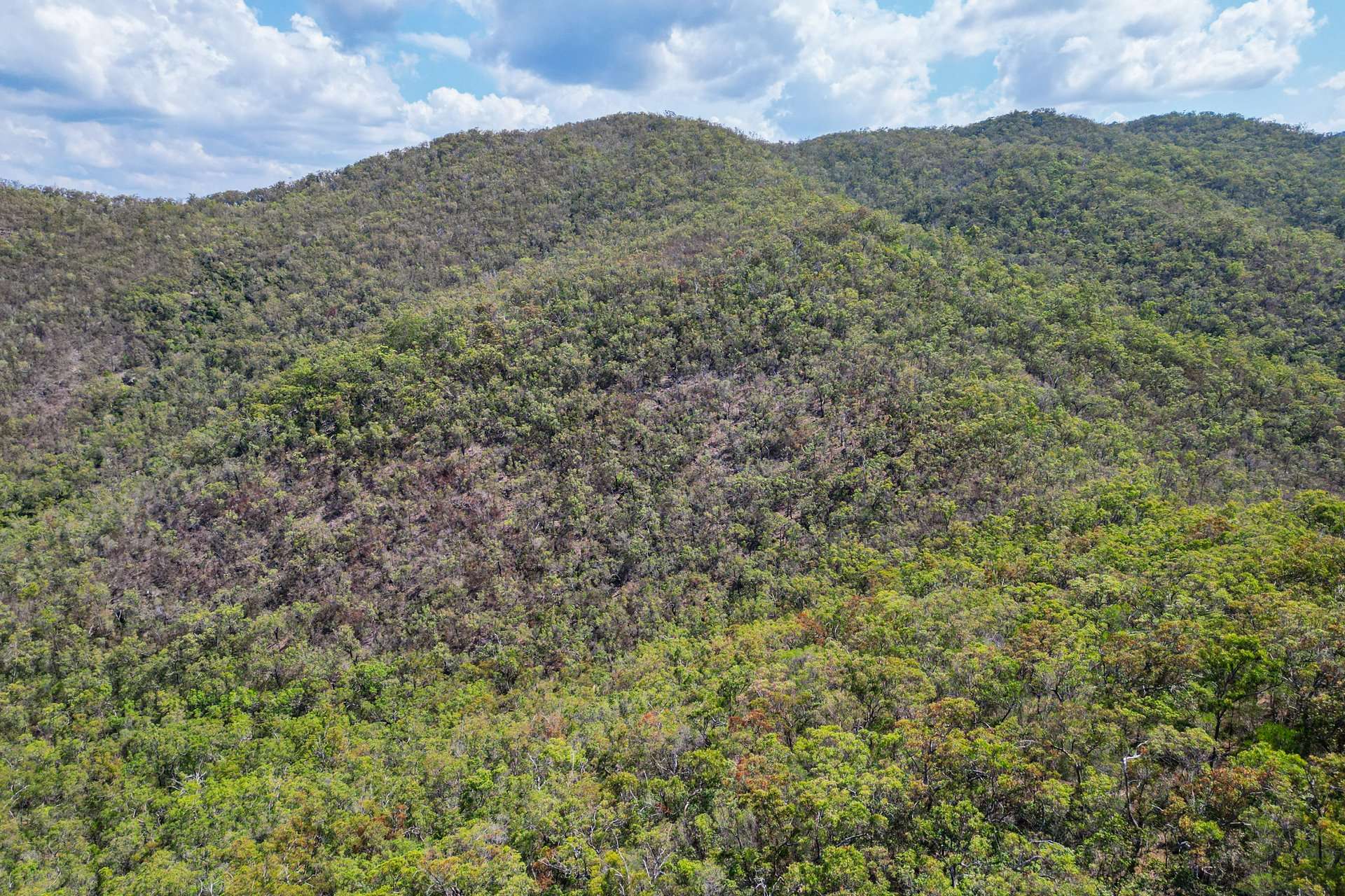 287 Davies Road, Captain Creek For Sale by Farmbuy.com - image 20