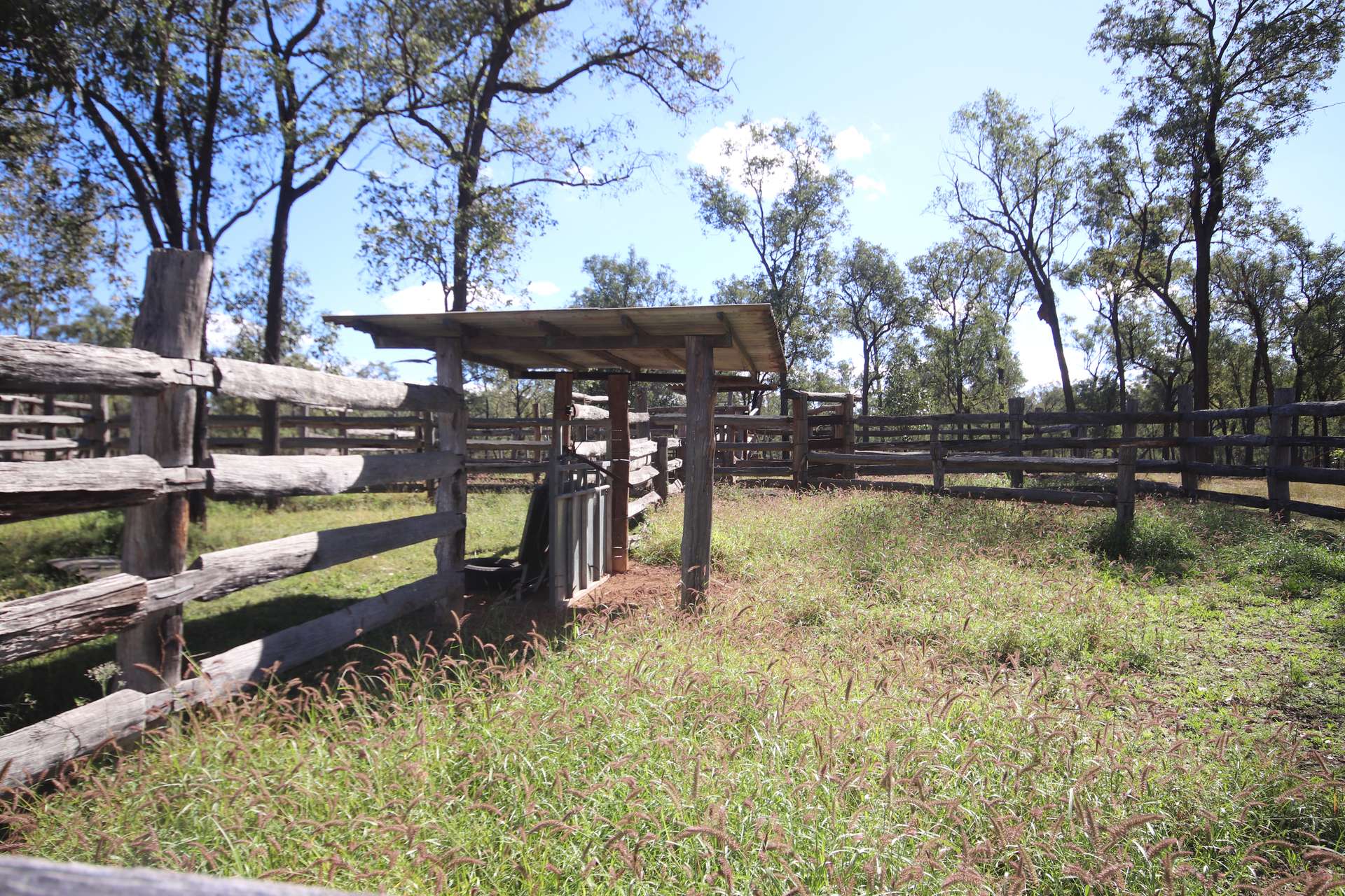 Lots 3, 11 & N Monogorilby Road, Monogorilby For Sale by Farmbuy.com - image 4