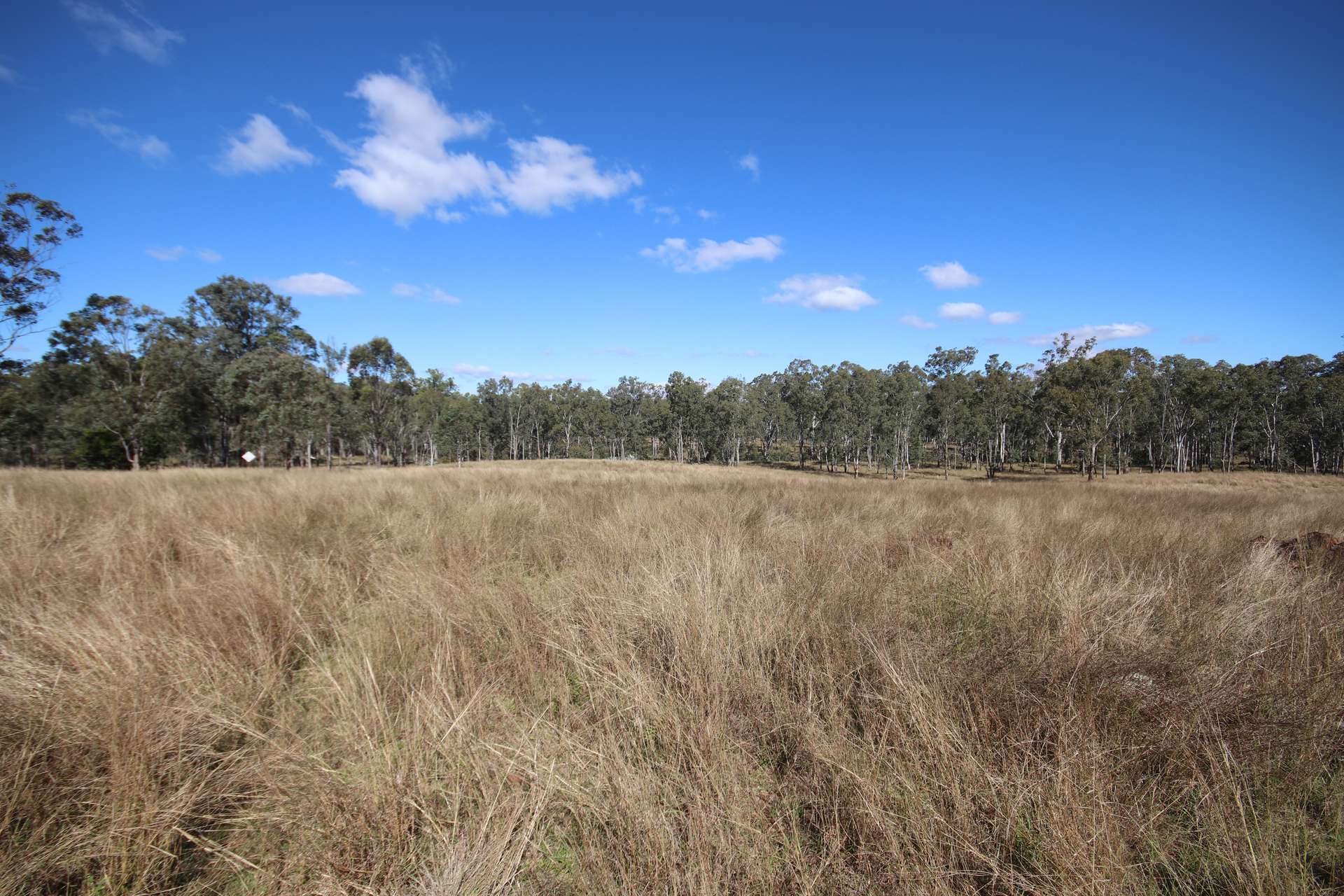 Lots 3, 11 & N Monogorilby Road, Monogorilby For Sale by Farmbuy.com - image 1