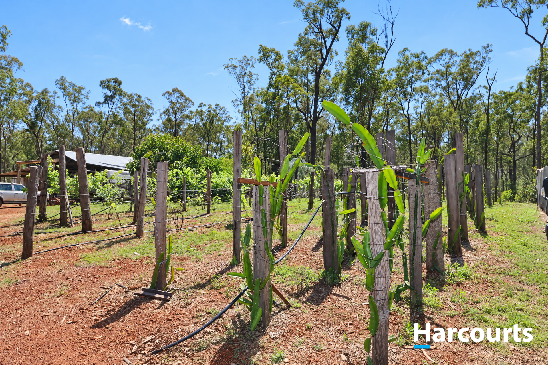 644 McDonalds Road, North Isis For Sale by Farmbuy.com - image 25