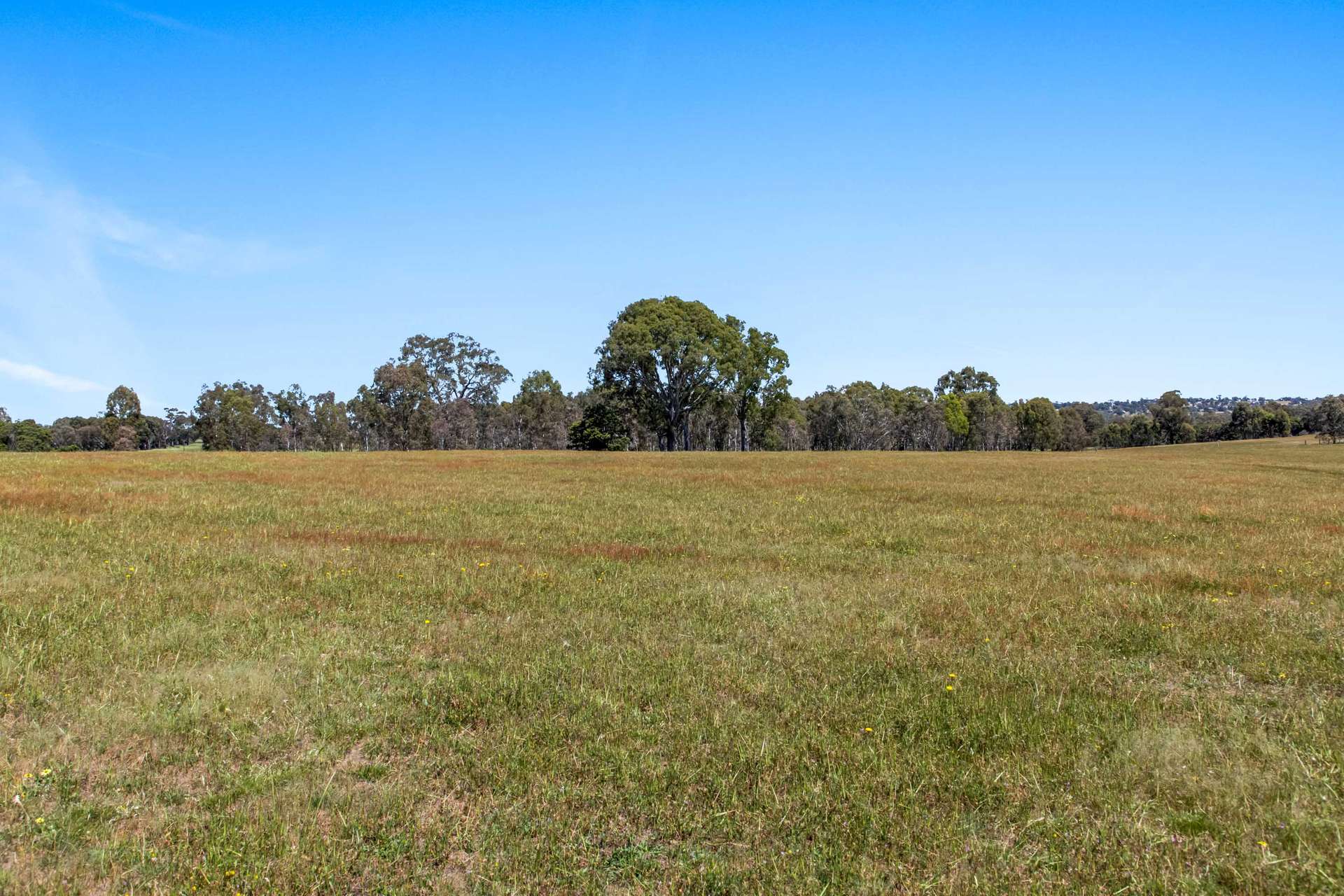 110 Cobeys Creek Road, Great Western For Sale by Farmbuy.com - image 25
