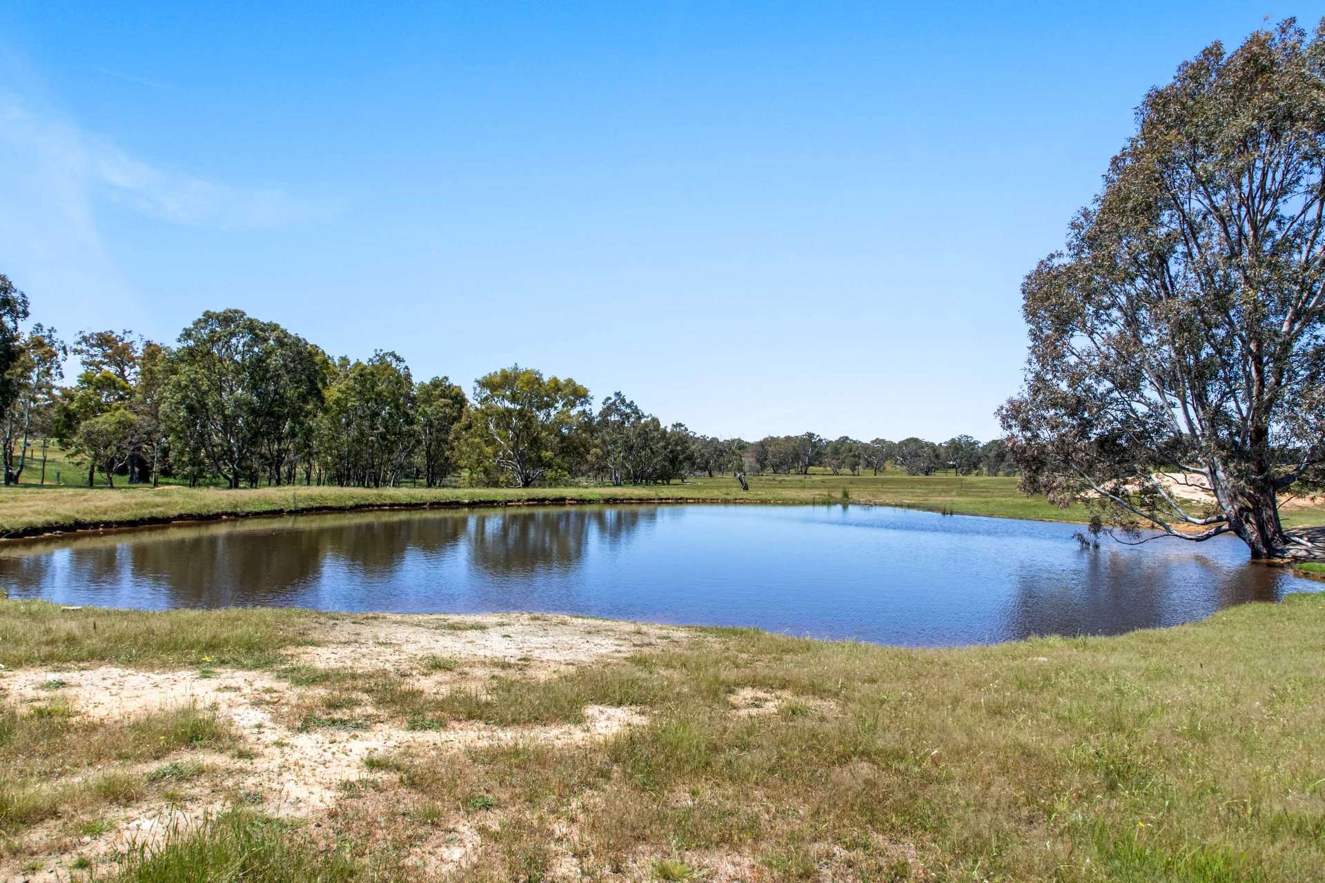 110 Cobeys Creek Road, Great Western For Sale by Farmbuy.com - image 27