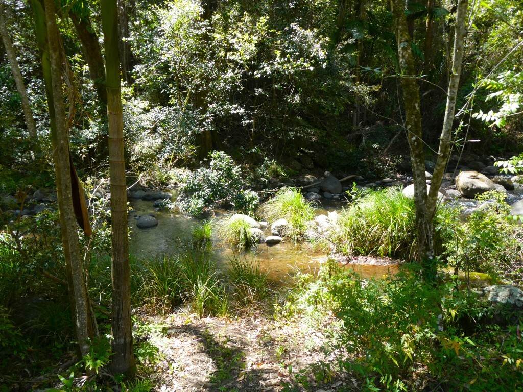 Lot 7/422 Main Creek Road, Kyogle For Sale by Farmbuy.com - image 6