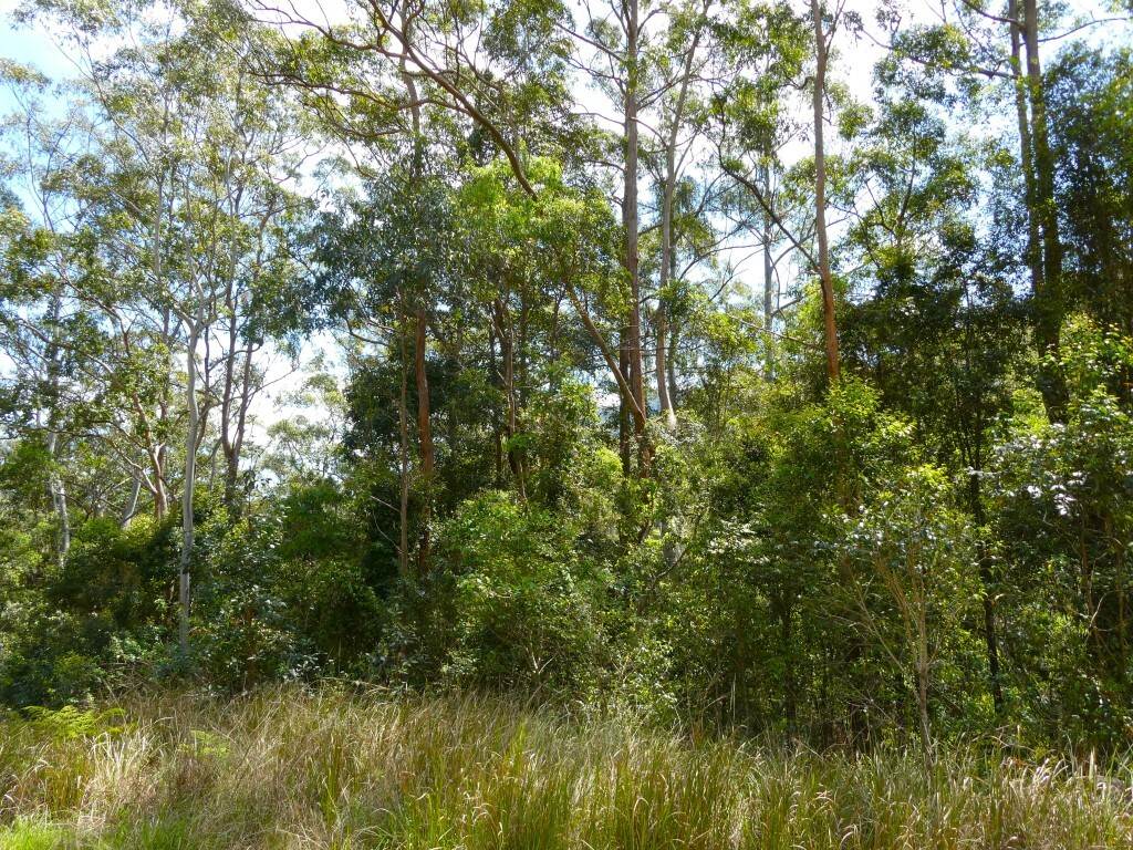 Lot 7/422 Main Creek Road, Kyogle For Sale by Farmbuy.com - image 11