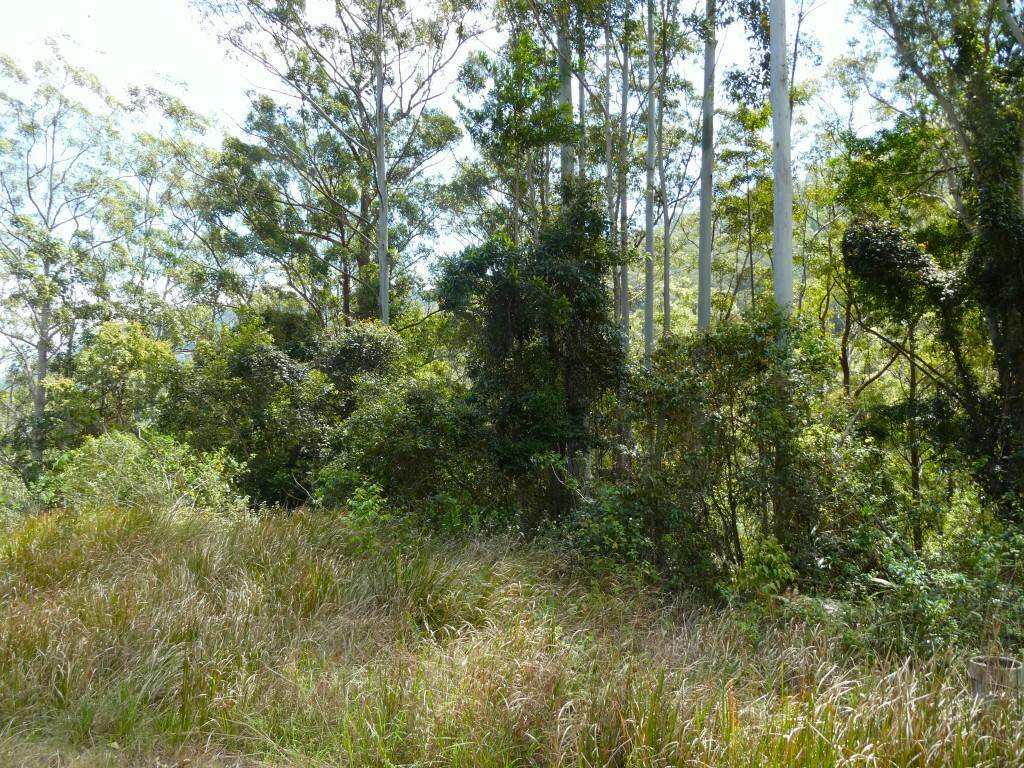 Lot 7/422 Main Creek Road, Kyogle For Sale by Farmbuy.com - image 14