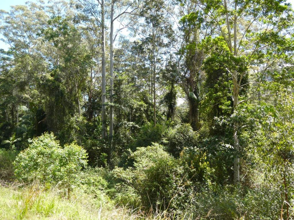 Lot 7/422 Main Creek Road, Kyogle For Sale by Farmbuy.com - image 21