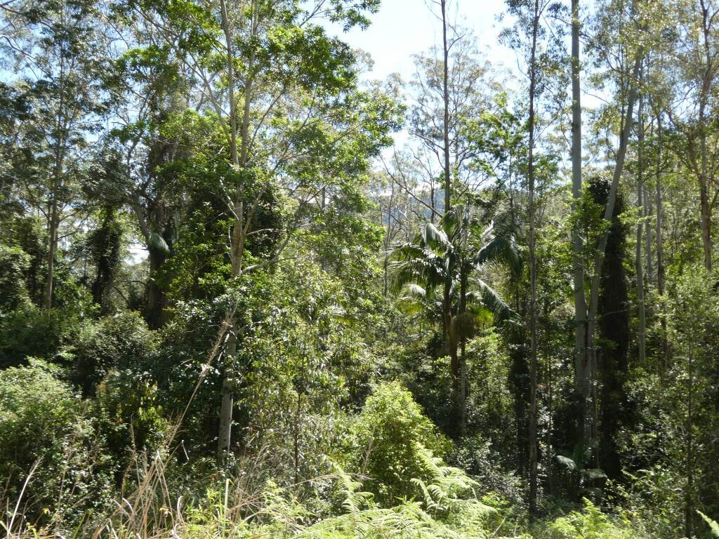 Lot 7/422 Main Creek Road, Kyogle For Sale by Farmbuy.com - image 20