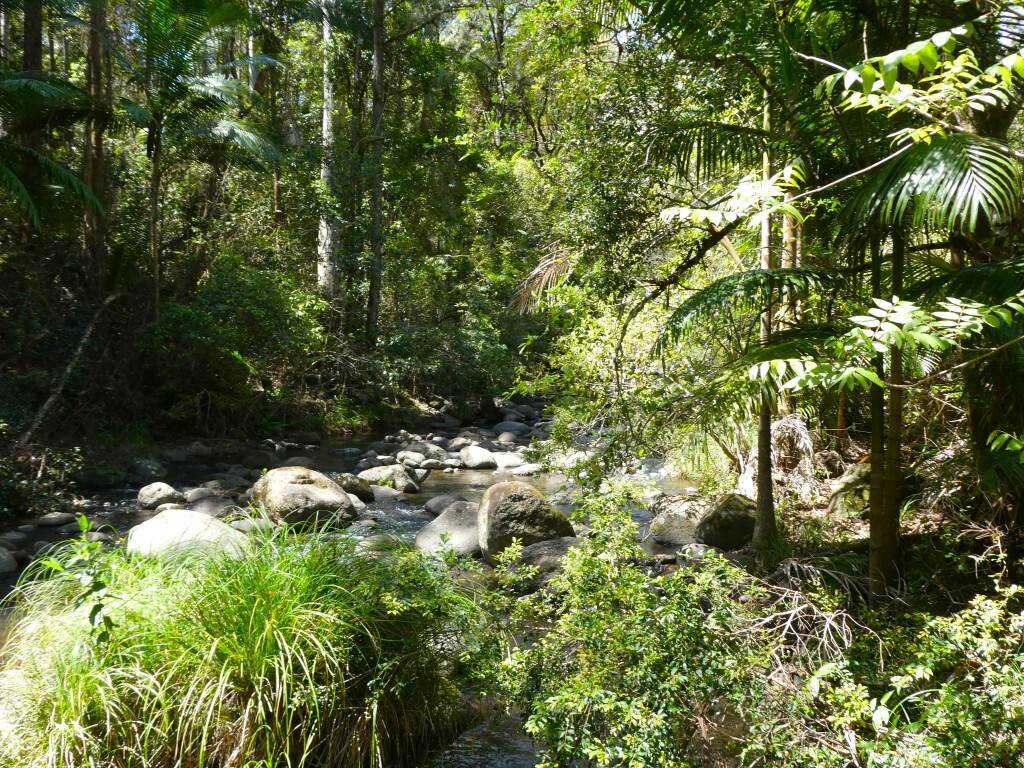 Lot 7/422 Main Creek Road, Kyogle For Sale by Farmbuy.com - image 2