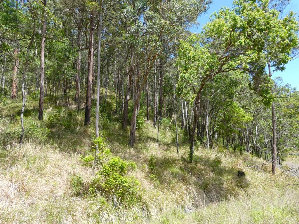 Lot 7/422 Main Creek Road, Kyogle For Sale by Farmbuy.com - image 18
