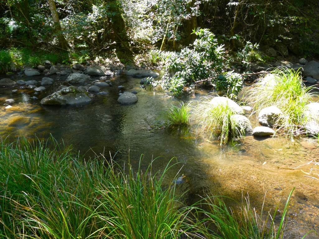Lot 7/422 Main Creek Road, Kyogle For Sale by Farmbuy.com - image 5